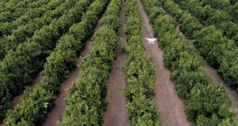 Ohio State University Explores Drone Use for Agricultural Seeding