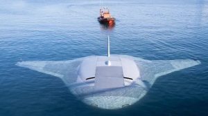 Manta Ray: US Military’s Submarine Drone Spotted on Google Maps