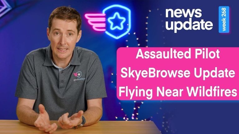 Assaulted Drone Pilot, SkyeBrowse Update, PSA on Flying Near Wildfires, and DJI Mountain Bike