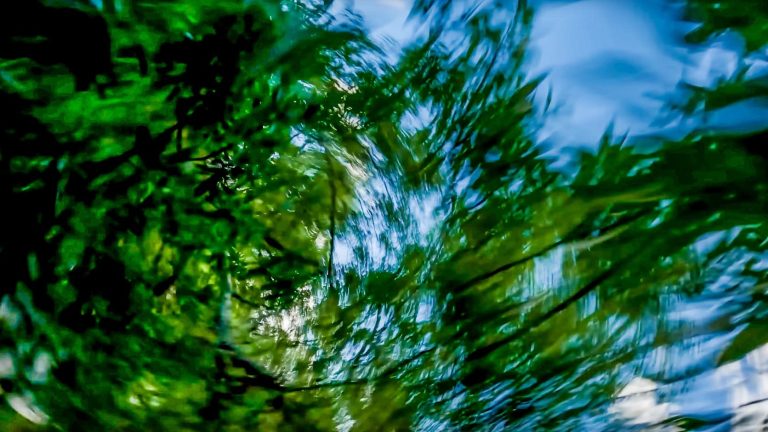 The First Time I Crashed a DJI Drone: A Humbling Experience That Changed Everything