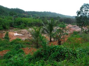 Drones Combat Wildcat Mining in West Africa as Gold Prices Soar