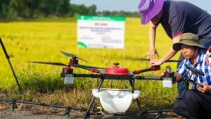 Vietnam’s Rice Fields Are getting Smarts Spraying with Drones