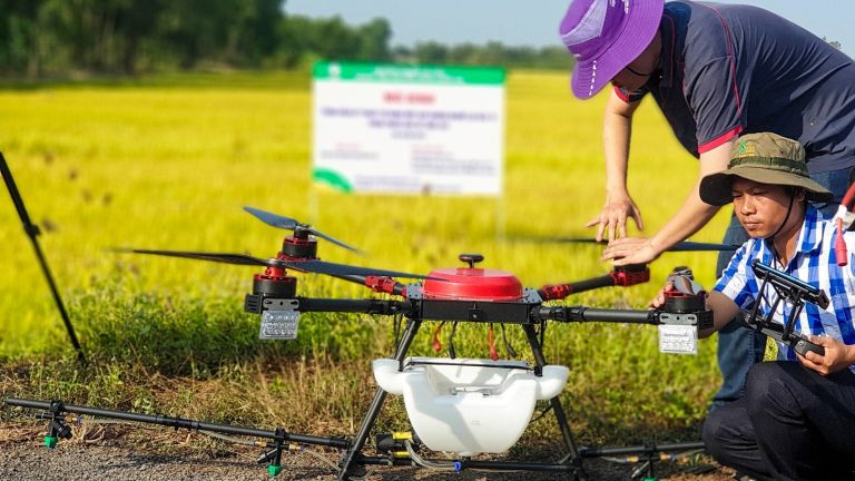 Vietnam’s Rice Fields Are getting Smarts Spraying with Drones