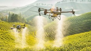 Drones Zap Weeds from the Sky: The Future of Pasture Management