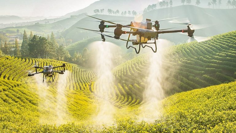 Drones Zap Weeds from the Sky: The Future of Pasture Management